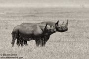 CLASSIC EAST AFRICA